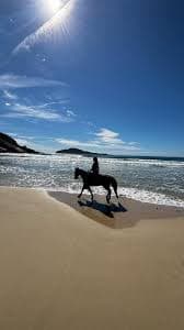 Balade a cheval sur la plage au crepuscule | campagne et littoral dans un meme geste