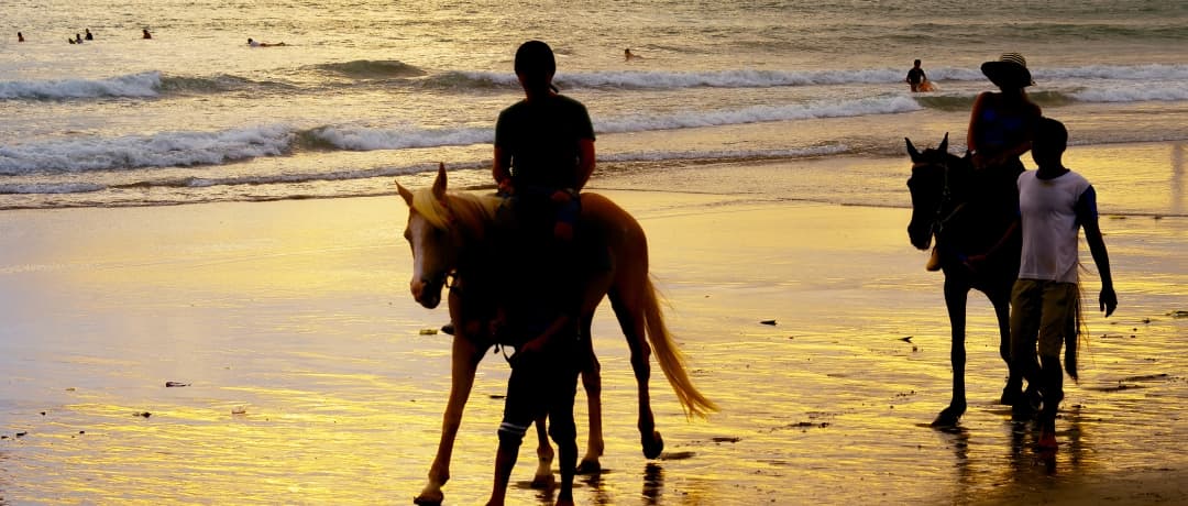 Balade a cheval sur la plage au crepuscule | campagne et littoral dans un meme geste