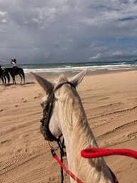 Balade a cheval sur la plage au crepuscule | campagne et littoral dans un meme geste