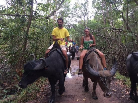 Expedition d'observation des oiseaux | lecture d'habitat